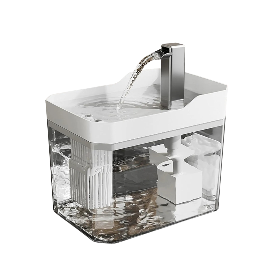 Cat fountain
