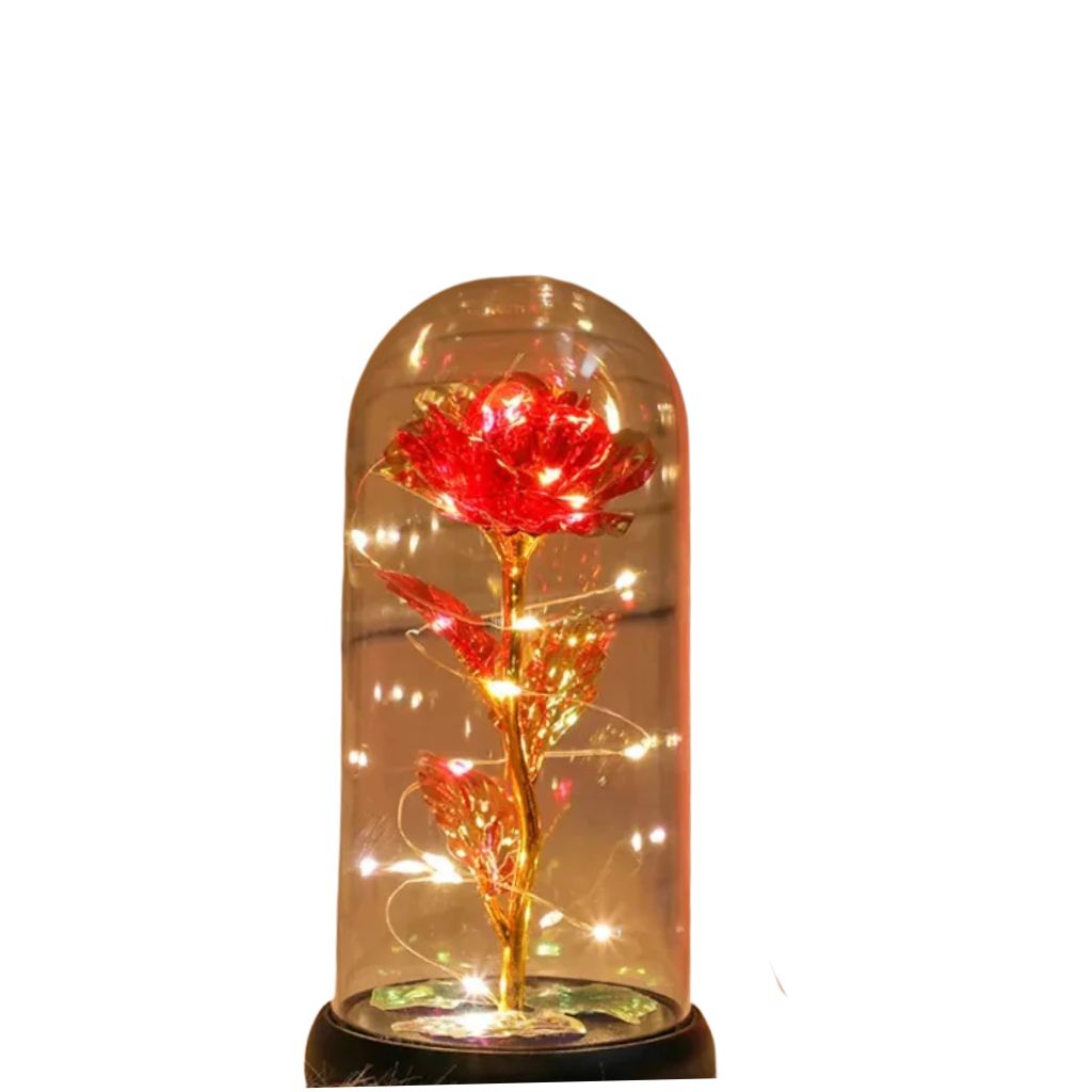 Rose éternelle LED