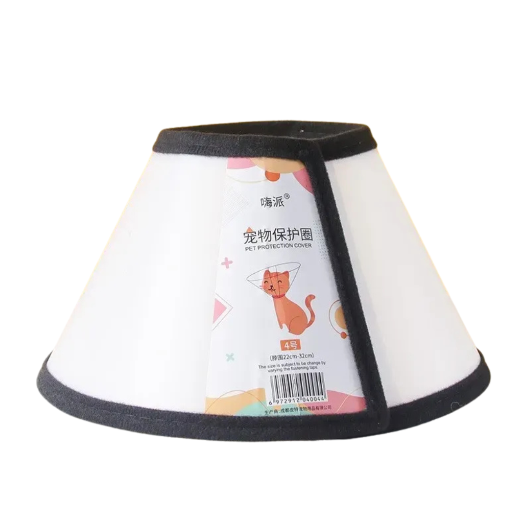 Elizabethan collar