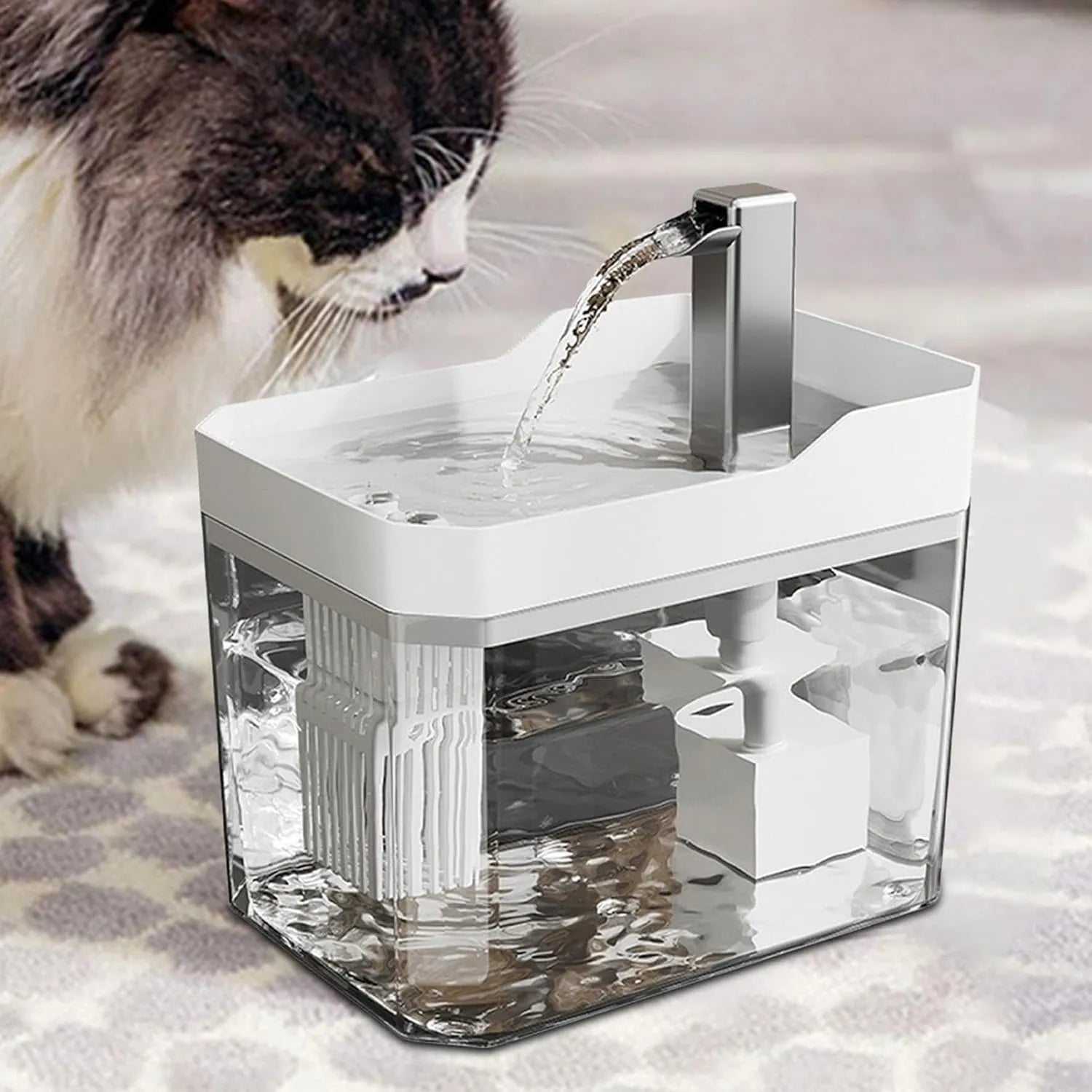 Cat fountain