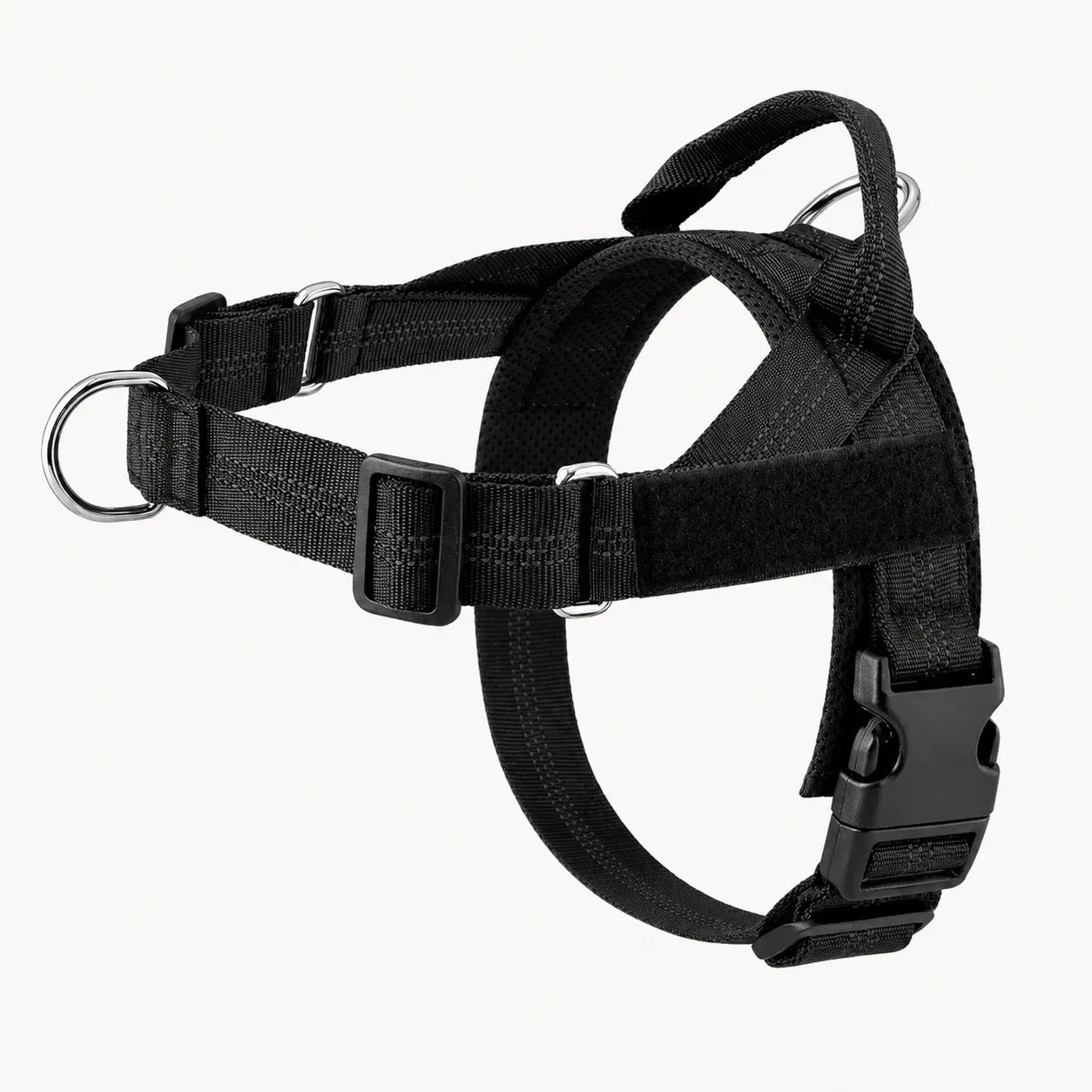 Harnais de dressage