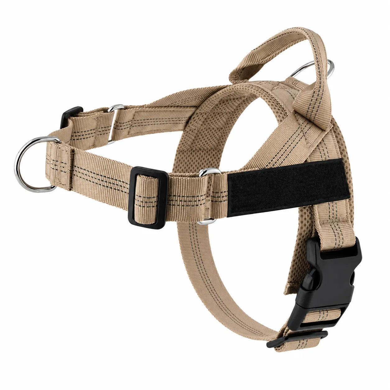 Harnais de dressage