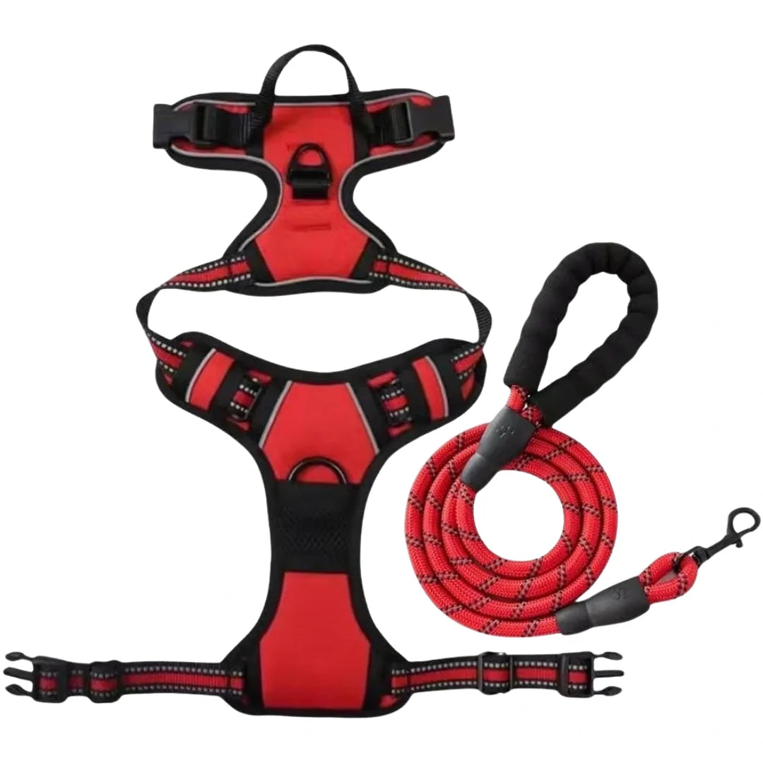 Harnais pour chiens