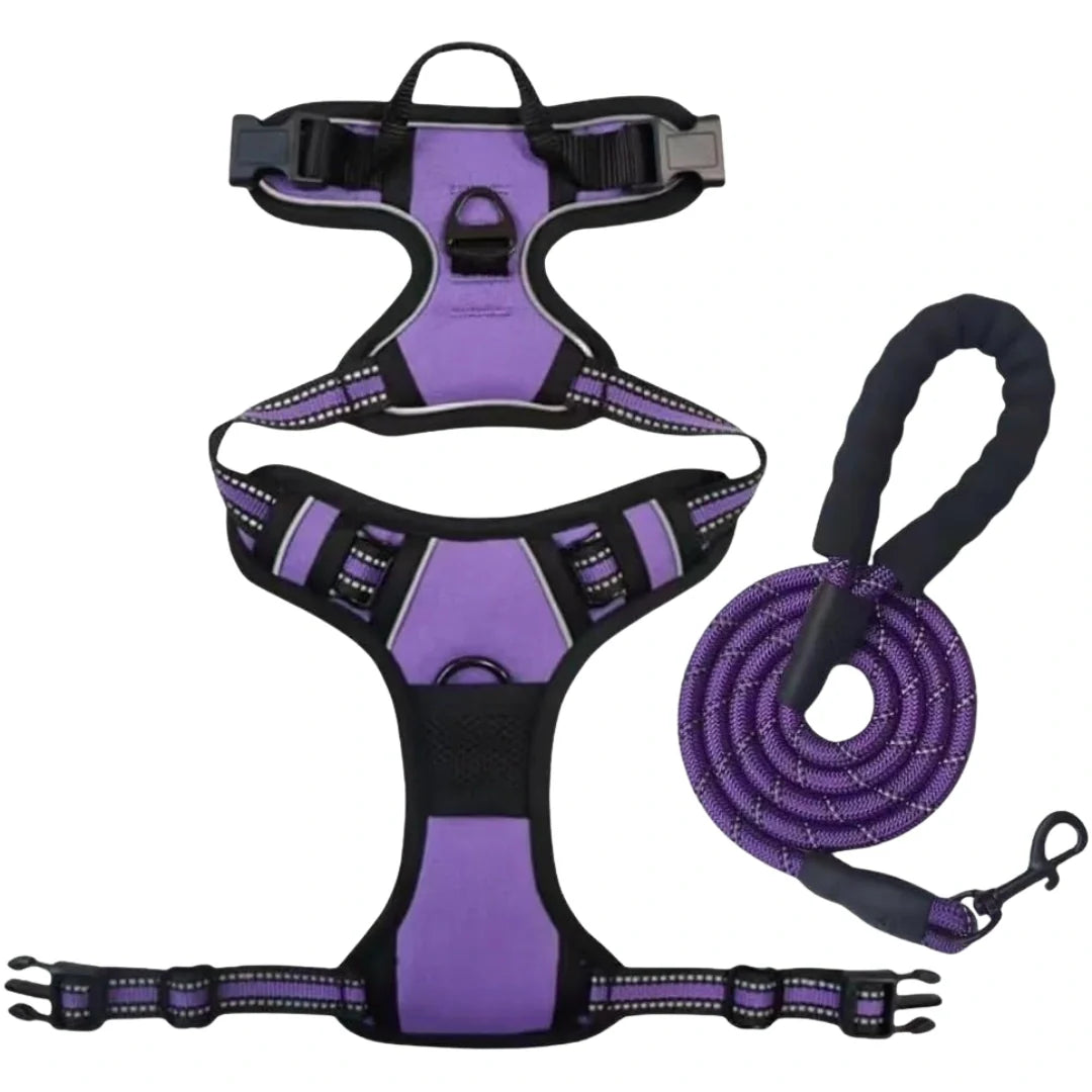 Harnais pour chiens