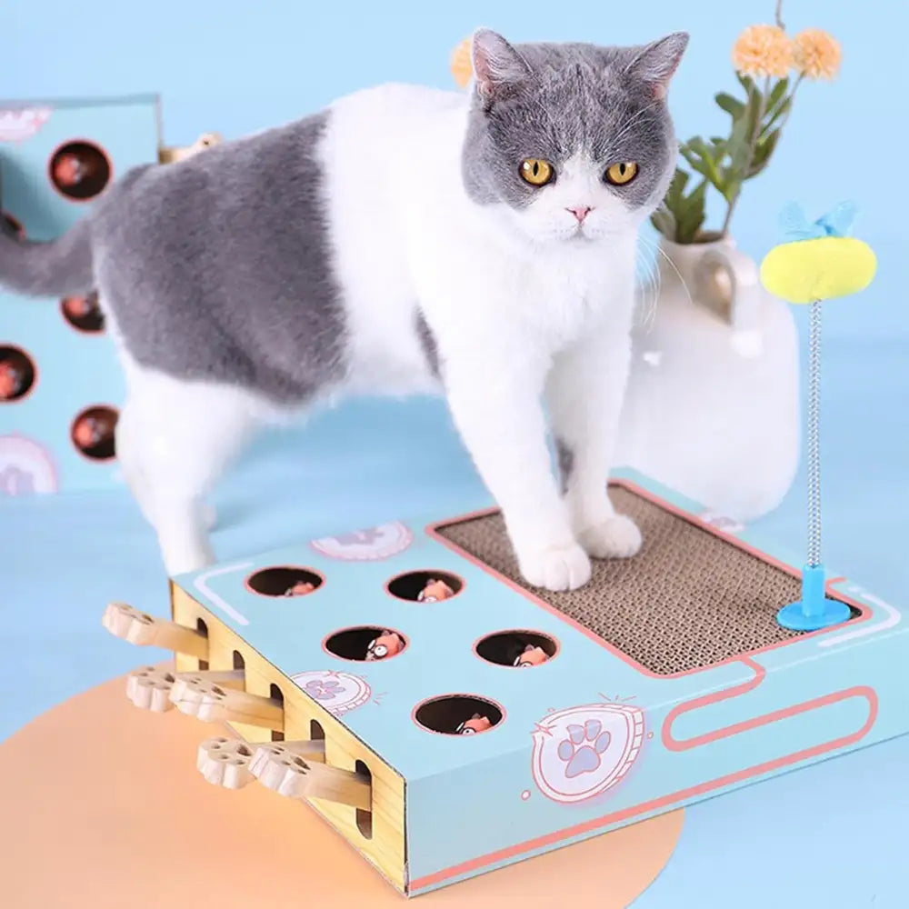 Jeu interactif chat