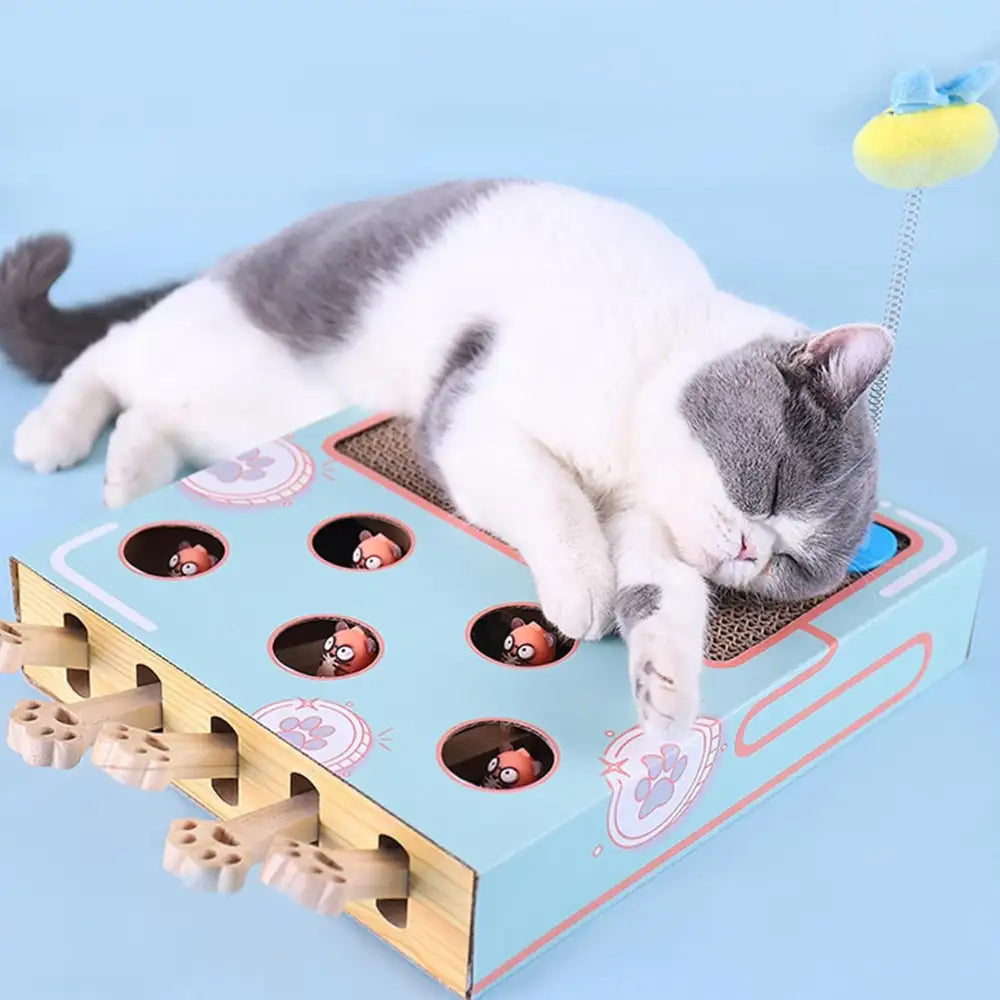 Jeu interactif chat