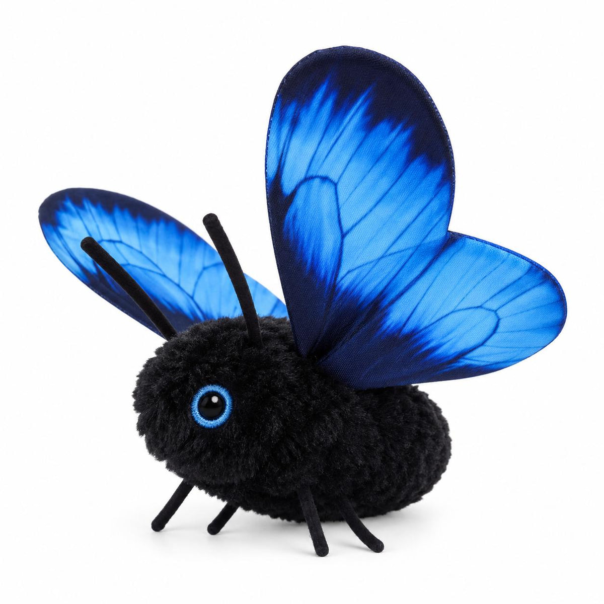 Butterfly for Cats