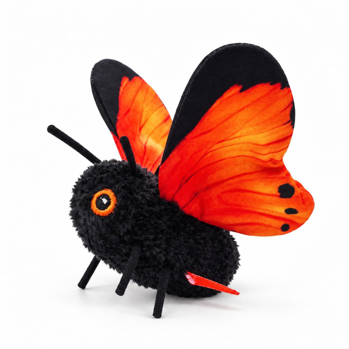 Butterfly for Cats