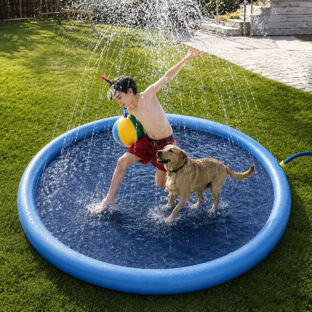 Piscine pour chien