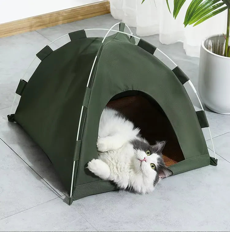 Tente pour chat