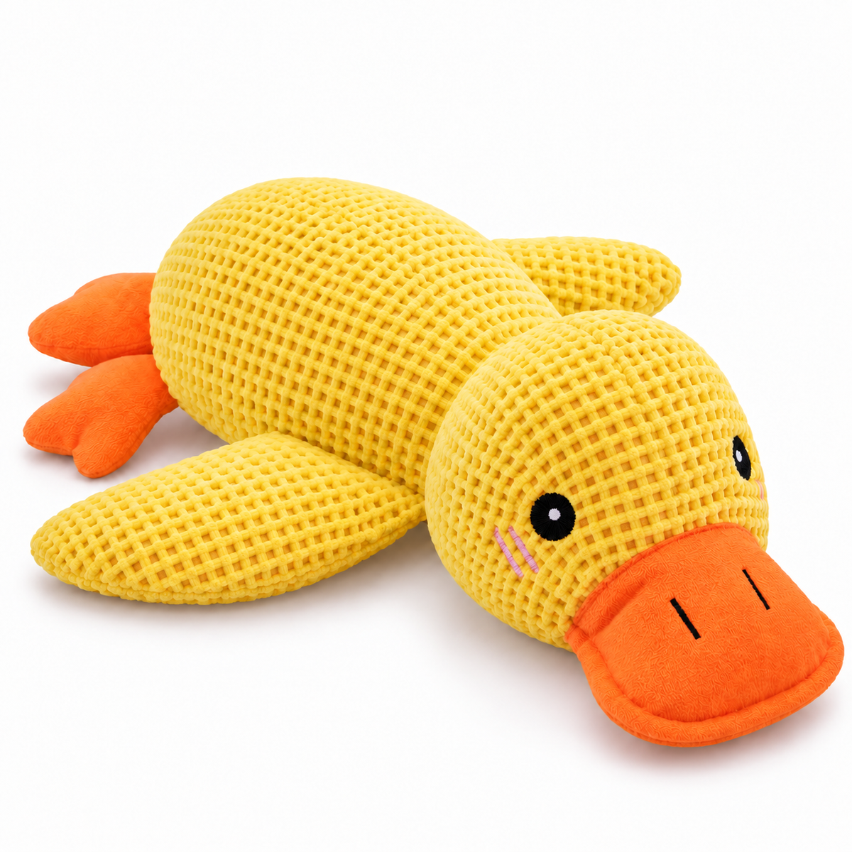 Canard couineur chien